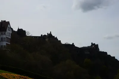 DSC_7383 (Large).JPG